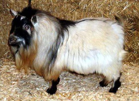 &amp;amp;amp;ETH;&amp;amp;amp;ordm;&amp;amp;amp;ETH;&amp;amp;amp;deg;&amp;amp;amp;ETH;&amp;amp;amp;ordm; &amp;amp;amp;ETH;&amp;amp;amp;iquest;&amp;amp;amp;Ntilde;&amp;amp;amp;ETH;&amp;amp;amp;frac34;&amp;amp;amp;Ntilde;&amp;amp;amp;ETH;&amp;amp;amp;frac34;&amp;amp;amp;ETH;&amp;amp;amp;acute;&amp;amp;amp;ETH;&amp;amp;amp;cedil;&amp;amp;amp;Ntilde; &amp;amp;amp;Ntilde;&amp;amp;amp;ETH;&amp;amp;amp;raquo;&amp;amp;amp;Ntilde;&amp;amp;amp;Ntilde;&amp;amp;amp;ETH;&amp;amp;amp;ordm;&amp;amp;amp;ETH;&amp;amp;amp;deg; &amp;amp;amp;Ntilde; &amp;amp;amp;ETH;&amp;amp;amp;ordm;&amp;amp;amp;ETH;&amp;amp;amp;frac34;&amp;amp;amp;ETH;&amp;amp;amp;middot;