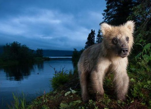 &amp;ETH;&amp;acute;&amp;ETH;&amp;cedil;&amp;ETH;&amp;ordm;&amp;ETH;&amp;cedil;&amp;ETH;&amp;micro; &amp;ETH;&amp;para;&amp;ETH;&amp;cedil;&amp;ETH;&amp;sup2;&amp;ETH;&amp;frac34;&amp;Ntilde;&amp;ETH;&amp;frac12;&amp;Ntilde;&amp;ETH;&amp;micro; &amp;ETH;&amp;frac12;&amp;ETH;&amp;deg;&amp;ETH;&amp;middot;&amp;ETH;&amp;sup2;&amp;ETH;&amp;deg;&amp;ETH;&amp;frac12;&amp;ETH;&amp;cedil;&amp;Ntilde; &amp;Ntilde;&amp;ETH;&amp;iquest;&amp;ETH;&amp;cedil;&amp;Ntilde;&amp;ETH;&amp;frac34;&amp;ETH;&amp;ordm;