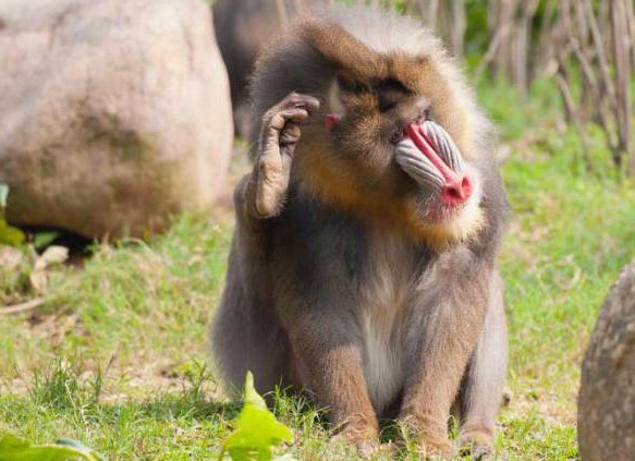 &amp;ETH;&amp;sup3;&amp;ETH;&amp;acute;&amp;ETH;&amp;micro; &amp;ETH;&amp;para;&amp;ETH;&amp;cedil;&amp;ETH;&amp;sup2;&amp;Ntilde;&amp;Ntilde; &amp;ETH;&amp;frac34;&amp;ETH;&amp;plusmn;&amp;ETH;&amp;micro;&amp;ETH;&amp;middot;&amp;Ntilde;&amp;Ntilde;&amp;ETH;&amp;frac12;&amp;Ntilde; &amp;ETH;&amp;sup2; &amp;ETH;&amp;acute;&amp;ETH;&amp;para;&amp;Ntilde;&amp;ETH;&amp;frac12;&amp;ETH;&amp;sup3;&amp;ETH;&amp;raquo;&amp;Ntilde;&amp;Ntilde;