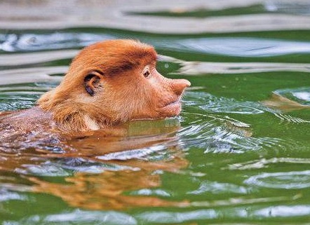 &amp;ETH;&amp;frac34;&amp;ETH;&amp;plusmn;&amp;Ntilde;&amp;ETH;&amp;ordm;&amp;ETH;&amp;frac12;&amp;ETH;&amp;frac34;&amp;ETH;&amp;sup2;&amp;ETH;&amp;micro;&amp;ETH;&amp;frac12;&amp;ETH;&amp;frac12;&amp;Ntilde;&amp;ETH;&amp;sup1; &amp;ETH;&amp;frac12;&amp;ETH;&amp;frac34;&amp;Ntilde;&amp;ETH;&amp;deg;&amp;Ntilde;