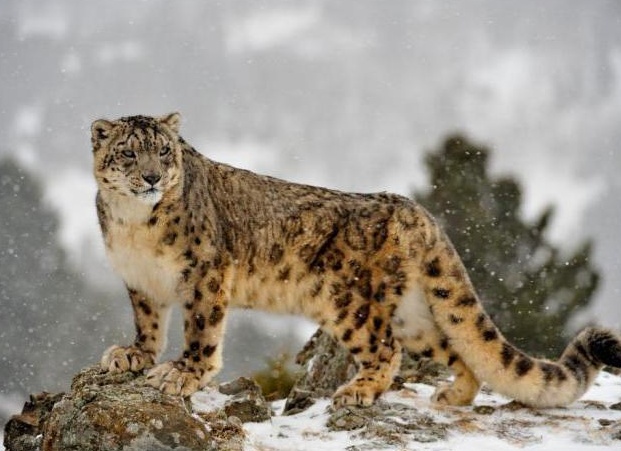 &amp;ETH;&amp;frac14;&amp;ETH;&amp;micro;&amp;ETH;&amp;para;&amp;ETH;&amp;acute;&amp;Ntilde;&amp;ETH;&amp;frac12;&amp;ETH;&amp;deg;&amp;Ntilde;&amp;ETH;&amp;frac34;&amp;ETH;&amp;acute;&amp;ETH;&amp;frac12;&amp;ETH;&amp;deg;&amp;Ntilde; &amp;ETH;&amp;ordm;&amp;Ntilde;&amp;ETH;&amp;deg;&amp;Ntilde;&amp;ETH;&amp;frac12;&amp;ETH;&amp;deg;&amp;Ntilde; &amp;ETH;&amp;ordm;&amp;ETH;&amp;frac12;&amp;ETH;&amp;cedil;&amp;ETH;&amp;sup3;&amp;ETH;&amp;deg; &amp;ETH;&amp;para;&amp;ETH;&amp;cedil;&amp;ETH;&amp;sup2;&amp;ETH;&amp;frac34;&amp;Ntilde;&amp;ETH;&amp;frac12;&amp;Ntilde;&amp;ETH;&amp;micro; &amp;Ntilde;&amp;ETH;&amp;frac12;&amp;ETH;&amp;micro;&amp;ETH;&amp;para;&amp;ETH;&amp;frac12;&amp;Ntilde;&amp;ETH;&amp;sup1; &amp;ETH;&amp;plusmn;&amp;ETH;&amp;deg;&amp;Ntilde;&amp;Ntilde;