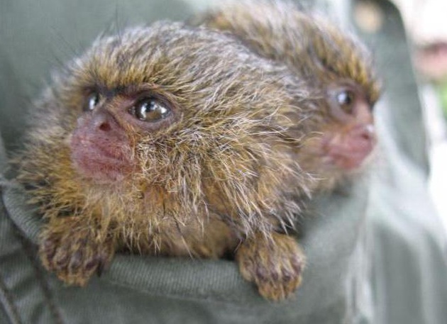 &amp;ETH;&amp;sup2;&amp;ETH;&amp;cedil;&amp;ETH;&amp;acute;&amp;Ntilde; &amp;ETH;&amp;frac34;&amp;ETH;&amp;plusmn;&amp;ETH;&amp;micro;&amp;ETH;&amp;middot;&amp;Ntilde;&amp;Ntilde;&amp;ETH;&amp;frac12; &amp;Ntilde; &amp;ETH;&amp;plusmn;&amp;ETH;&amp;frac34;&amp;ETH;&amp;raquo;&amp;Ntilde;&amp;Ntilde;&amp;ETH;&amp;cedil;&amp;ETH;&amp;frac14;&amp;ETH;&amp;cedil; &amp;ETH;&amp;sup3;&amp;ETH;&amp;raquo;&amp;ETH;&amp;deg;&amp;ETH;&amp;middot;&amp;ETH;&amp;deg;&amp;ETH;&amp;frac14;&amp;ETH;&amp;cedil;