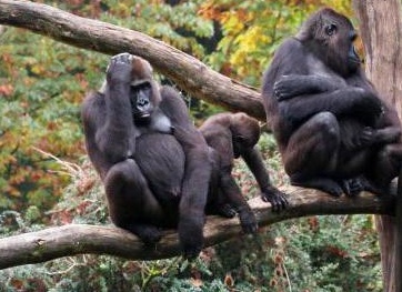 &amp;ETH;&amp;ETH;&amp;acute;&amp;ETH;&amp;micro; &amp;ETH;&amp;para;&amp;ETH;&amp;cedil;&amp;ETH;&amp;sup2;&amp;ETH;&amp;micro;&amp;Ntilde; &amp;ETH;&amp;sup3;&amp;ETH;&amp;frac34;&amp;Ntilde;&amp;ETH;&amp;cedil;&amp;ETH;&amp;raquo;&amp;ETH;&amp;raquo;&amp;ETH;&amp;deg;