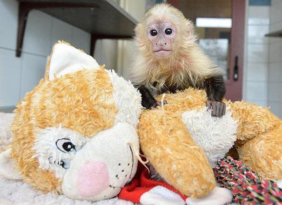 &amp;ETH;&amp;frac34;&amp;ETH;&amp;plusmn;&amp;ETH;&amp;micro;&amp;ETH;&amp;middot;&amp;Ntilde;&amp;Ntilde;&amp;ETH;&amp;frac12;&amp;ETH;&amp;deg; &amp;ETH;&amp;ordm;&amp;ETH;&amp;deg;&amp;ETH;&amp;iquest;&amp;Ntilde;&amp;Ntilde;&amp;ETH;&amp;cedil;&amp;ETH;&amp;frac12;