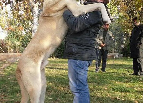 &amp;Ntilde;&amp;ETH;&amp;frac34;&amp;ETH;&amp;iquest; 10 &amp;Ntilde;&amp;ETH;&amp;deg;&amp;ETH;&amp;frac14;&amp;Ntilde;&amp;Ntilde; &amp;Ntilde;&amp;ETH;&amp;cedil;&amp;ETH;&amp;raquo;&amp;Ntilde;&amp;ETH;&amp;frac12;&amp;Ntilde;&amp;Ntilde; &amp;Ntilde;&amp;ETH;&amp;frac34;&amp;ETH;&amp;plusmn;&amp;ETH;&amp;deg;&amp;ETH;&amp;ordm; &amp;ETH;&amp;sup2; &amp;ETH;&amp;frac14;&amp;ETH;&amp;cedil;&amp;Ntilde;&amp;ETH;&amp;micro; &amp;ETH;&amp;ordm;&amp;ETH;&amp;deg;&amp;ETH;&amp;frac12;&amp;ETH;&amp;sup3;&amp;ETH;&amp;deg;&amp;ETH;&amp;raquo;