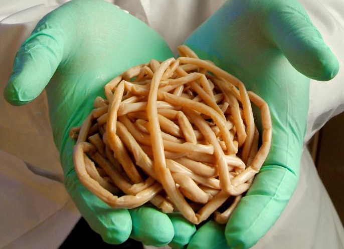 &amp;ETH;&amp;iquest;&amp;ETH;&amp;deg;&amp;Ntilde;&amp;ETH;&amp;deg;&amp;ETH;&amp;middot;&amp;ETH;&amp;cedil;&amp;Ntilde;&amp;Ntilde; &amp;ETH;&amp;para;&amp;ETH;&amp;cedil;&amp;ETH;&amp;sup2;&amp;ETH;&amp;frac34;&amp;Ntilde;&amp;ETH;&amp;frac12;&amp;Ntilde;&amp;Ntilde; &amp;ETH;&amp;cedil; &amp;Ntilde;&amp;ETH;&amp;micro;&amp;ETH;&amp;raquo;&amp;ETH;&amp;frac34;&amp;ETH;&amp;sup2;&amp;ETH;&amp;micro;&amp;ETH;&amp;ordm;&amp;ETH;&amp;deg;