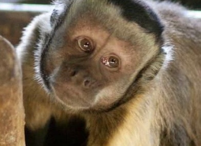 &amp;Ntilde;&amp;ETH;&amp;cedil;&amp;Ntilde;&amp;ETH;&amp;frac34;&amp;ETH;&amp;ordm;&amp;ETH;&amp;frac34;&amp;ETH;&amp;frac12;&amp;ETH;&amp;frac34;&amp;Ntilde;&amp;Ntilde;&amp;ETH;&amp;micro; &amp;ETH;&amp;frac34;&amp;ETH;&amp;plusmn;&amp;ETH;&amp;micro;&amp;ETH;&amp;middot;&amp;Ntilde;&amp;Ntilde;&amp;ETH;&amp;frac12;&amp;Ntilde;