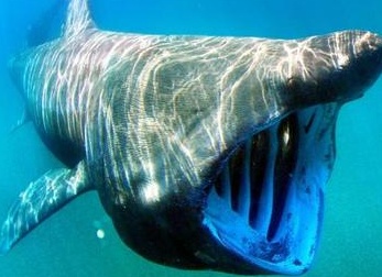 &amp;amp;amp;Ntilde;&amp;amp;amp;Ntilde;&amp;amp;amp;ETH;&amp;amp;amp;plusmn;&amp;amp;amp;Ntilde; &amp;amp;amp;Ntilde;&amp;amp;amp;ETH;&amp;amp;amp;cedil;&amp;amp;amp;Ntilde;&amp;amp;amp;ETH;&amp;amp;amp;frac12;&amp;amp;amp;ETH;&amp;amp;amp;cedil;&amp;amp;amp;ETH;&amp;amp;amp;ordm;&amp;amp;amp;ETH;&amp;amp;amp;cedil;