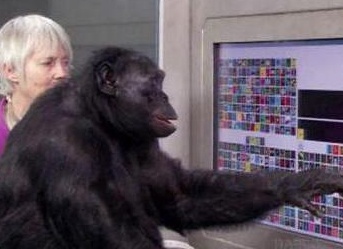 &amp;ETH;&amp;Ntilde;&amp;ETH;&amp;frac34;&amp;Ntilde;&amp;ETH;&amp;micro;&amp;Ntilde;&amp;Ntilde; &amp;ETH;&amp;frac34;&amp;ETH;&amp;plusmn;&amp;Ntilde;&amp;Ntilde;&amp;ETH;&amp;micro;&amp;ETH;&amp;frac12;&amp;ETH;&amp;cedil;&amp;Ntilde; &amp;ETH;&amp;plusmn;&amp;ETH;&amp;frac34;&amp;ETH;&amp;raquo;&amp;Ntilde;&amp;Ntilde;&amp;ETH;&amp;cedil;&amp;Ntilde; &amp;Ntilde;&amp;ETH;&amp;micro;&amp;ETH;&amp;raquo;&amp;ETH;&amp;frac34;&amp;ETH;&amp;sup2;&amp;ETH;&amp;micro;&amp;ETH;&amp;ordm;&amp;ETH;&amp;frac34;&amp;ETH;&amp;frac34;&amp;ETH;&amp;plusmn;&amp;Ntilde;&amp;ETH;&amp;deg;&amp;ETH;&amp;middot;&amp;ETH;&amp;frac12;&amp;Ntilde;&amp;Ntilde; &amp;ETH;&amp;frac34;&amp;ETH;&amp;plusmn;&amp;ETH;&amp;micro;&amp;ETH;&amp;middot;&amp;Ntilde;&amp;Ntilde;&amp;ETH;&amp;frac12;