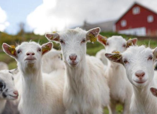 &amp;amp;amp;ETH;&amp;amp;amp;raquo;&amp;amp;amp;Ntilde;&amp;amp;amp;Ntilde;&amp;amp;amp;Ntilde;&amp;amp;amp;ETH;&amp;amp;amp;micro;&amp;amp;amp;ETH;&amp;amp;amp;micro; &amp;amp;amp;ETH;&amp;amp;amp;sup2;&amp;amp;amp;Ntilde;&amp;amp;amp;ETH;&amp;amp;amp;micro;&amp;amp;amp;ETH;&amp;amp;amp;frac14;&amp;amp;amp;Ntilde; &amp;amp;amp;ETH;&amp;amp;amp;acute;&amp;amp;amp;ETH;&amp;amp;amp;raquo;&amp;amp;amp;Ntilde; &amp;amp;amp;Ntilde;&amp;amp;amp;ETH;&amp;amp;amp;raquo;&amp;amp;amp;Ntilde;&amp;amp;amp;Ntilde;&amp;amp;amp;ETH;&amp;amp;amp;ordm;&amp;amp;amp;ETH;&amp;amp;amp;cedil; &amp;amp;amp;ETH;&amp;amp;amp;ordm;&amp;amp;amp;ETH;&amp;amp;amp;frac34;&amp;amp;amp;ETH;&amp;amp;amp;middot;