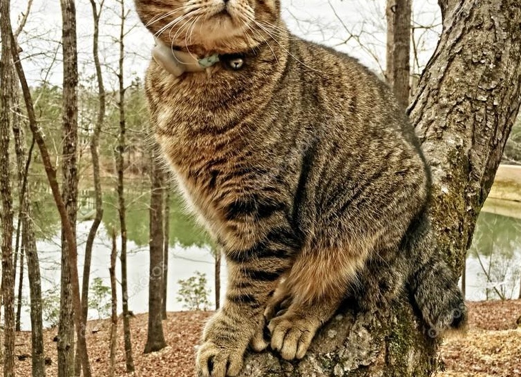 &amp;ETH;&amp;yen;&amp;ETH;&amp;deg;&amp;ETH;&amp;sup1;&amp;ETH;&amp;raquo;&amp;ETH;&amp;micro;&amp;ETH;&amp;frac12;&amp;ETH;&amp;acute;&amp;ETH;&amp;micro;&amp;Ntilde; &amp;ETH;&amp;iquest;&amp;ETH;&amp;frac34;&amp;Ntilde;&amp;ETH;&amp;frac34;&amp;ETH;&amp;acute;&amp;ETH;&amp;deg; &amp;ETH;&amp;ordm;&amp;ETH;&amp;frac34;&amp;Ntilde;&amp;ETH;&amp;micro;&amp;ETH;&amp;ordm;