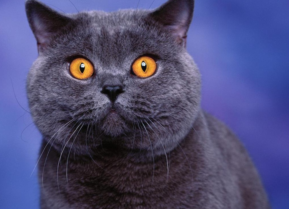 &amp;ETH;&amp;ETH;&amp;frac34;&amp;ETH;&amp;raquo;&amp;Ntilde;&amp;ETH;&amp;plusmn;&amp;ETH;&amp;frac34;&amp;ETH;&amp;sup1; &amp;ETH;&amp;frac34;&amp;ETH;&amp;acute;&amp;ETH;&amp;frac12;&amp;ETH;&amp;frac34;&amp;Ntilde;&amp;ETH;&amp;frac34;&amp;ETH;&amp;frac12;&amp;ETH;&amp;frac12;&amp;Ntilde;&amp;ETH;&amp;sup1;