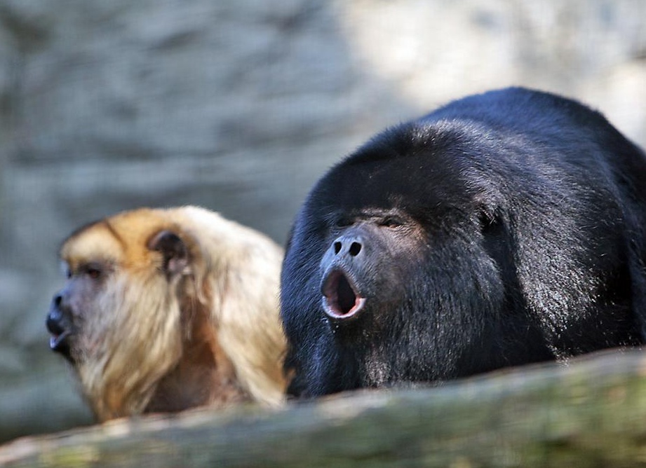 &amp;ETH;&amp;sect;&amp;ETH;&amp;micro;&amp;Ntilde;&amp;ETH;&amp;frac12;&amp;Ntilde;&amp;ETH;&amp;sup1; &amp;Ntilde;&amp;ETH;&amp;micro;&amp;ETH;&amp;sup2;&amp;Ntilde;&amp;ETH;&amp;frac12; (&amp;Ntilde;&amp;ETH;&amp;deg;&amp;ETH;&amp;frac14;&amp;ETH;&amp;micro;&amp;Ntilde; &amp;ETH;&amp;cedil; &amp;Ntilde;&amp;ETH;&amp;deg;&amp;ETH;&amp;frac14;&amp;ETH;&amp;ordm;&amp;ETH;&amp;deg;)