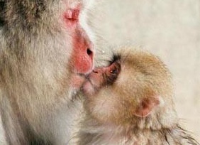 &amp;ETH;&amp;sup3;&amp;ETH;&amp;acute;&amp;ETH;&amp;micro; &amp;ETH;&amp;para;&amp;ETH;&amp;cedil;&amp;ETH;&amp;sup2;&amp;Ntilde;&amp;Ntilde; &amp;Ntilde;&amp;ETH;&amp;frac12;&amp;ETH;&amp;micro;&amp;ETH;&amp;para;&amp;ETH;&amp;frac12;&amp;Ntilde;&amp;ETH;&amp;micro; &amp;ETH;&amp;frac34;&amp;ETH;&amp;plusmn;&amp;ETH;&amp;micro;&amp;ETH;&amp;middot;&amp;Ntilde;&amp;Ntilde;&amp;ETH;&amp;frac12;&amp;Ntilde;