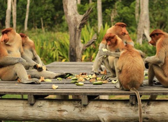 &amp;ETH;&amp;frac12;&amp;ETH;&amp;frac34;&amp;Ntilde;&amp;ETH;&amp;deg;&amp;Ntilde; &amp;ETH;&amp;para;&amp;ETH;&amp;cedil;&amp;ETH;&amp;sup2;&amp;ETH;&amp;frac34;&amp;Ntilde;&amp;ETH;&amp;frac12;&amp;ETH;&amp;frac34;&amp;ETH;&amp;micro;