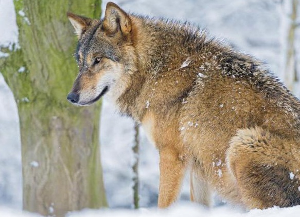 &amp;Ntilde;&amp;ETH;&amp;iquest;&amp;ETH;&amp;cedil;&amp;Ntilde;&amp;ETH;&amp;frac34;&amp;ETH;&amp;ordm; &amp;ETH;&amp;acute;&amp;ETH;&amp;cedil;&amp;ETH;&amp;ordm;&amp;ETH;&amp;cedil;&amp;Ntilde; &amp;ETH;&amp;para;&amp;ETH;&amp;cedil;&amp;ETH;&amp;sup2;&amp;ETH;&amp;frac34;&amp;Ntilde;&amp;ETH;&amp;frac12;&amp;Ntilde;&amp;Ntilde; &amp;ETH;&amp;nbsp;&amp;ETH;&amp;frac34;&amp;Ntilde;&amp;Ntilde;&amp;ETH;&amp;cedil;&amp;ETH;&amp;cedil;