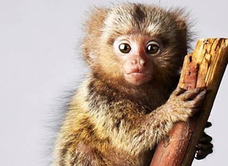 &amp;ETH;&amp;ordm;&amp;ETH;&amp;deg;&amp;Ntilde;&amp;ETH;&amp;raquo;&amp;ETH;&amp;cedil;&amp;ETH;&amp;ordm;&amp;ETH;&amp;frac34;&amp;ETH;&amp;sup2;&amp;ETH;&amp;deg;&amp;Ntilde; &amp;ETH;&amp;cedil;&amp;ETH;&amp;sup3;&amp;Ntilde;&amp;Ntilde;&amp;ETH;&amp;frac12;&amp;ETH;&amp;ordm;&amp;ETH;&amp;deg;