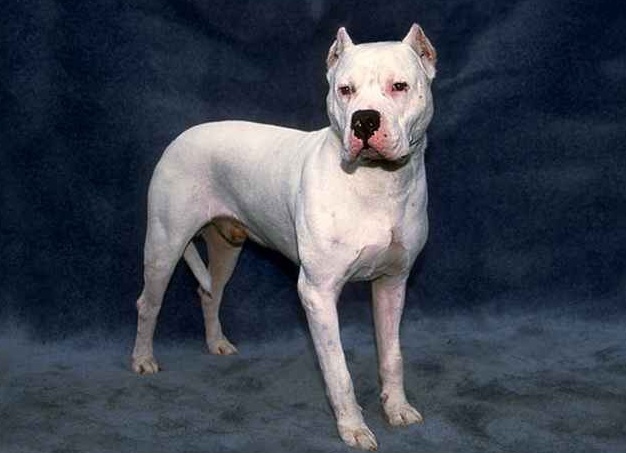 &amp;Ntilde;&amp;ETH;&amp;frac34;&amp;ETH;&amp;iquest; 10 &amp;Ntilde;&amp;ETH;&amp;deg;&amp;ETH;&amp;frac14;&amp;Ntilde;&amp;Ntilde; &amp;Ntilde;&amp;ETH;&amp;cedil;&amp;ETH;&amp;raquo;&amp;Ntilde;&amp;ETH;&amp;frac12;&amp;Ntilde;&amp;Ntilde; &amp;Ntilde;&amp;ETH;&amp;frac34;&amp;ETH;&amp;plusmn;&amp;ETH;&amp;deg;&amp;ETH;&amp;ordm; &amp;ETH;&amp;sup2; &amp;ETH;&amp;frac14;&amp;ETH;&amp;cedil;&amp;Ntilde;&amp;ETH;&amp;micro; &amp;Ntilde;&amp;ETH;&amp;frac34;&amp;Ntilde;&amp;ETH;&amp;frac34;