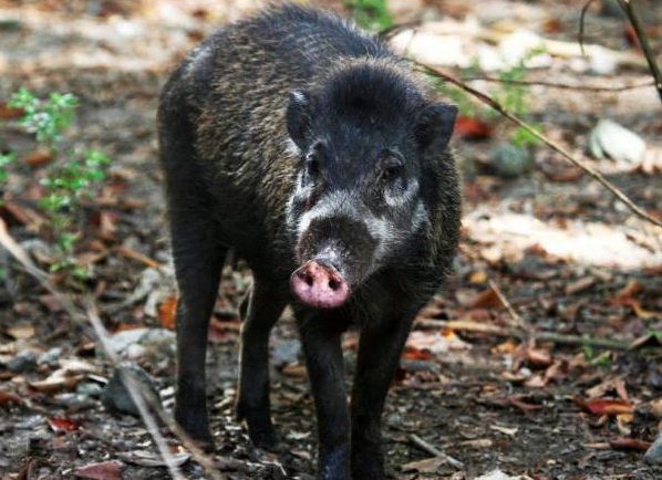 &amp;ETH;&amp;frac14;&amp;ETH;&amp;micro;&amp;ETH;&amp;para;&amp;ETH;&amp;acute;&amp;Ntilde;&amp;ETH;&amp;frac12;&amp;ETH;&amp;deg;&amp;Ntilde;&amp;ETH;&amp;frac34;&amp;ETH;&amp;acute;&amp;ETH;&amp;frac12;&amp;ETH;&amp;deg;&amp;Ntilde; &amp;ETH;&amp;ordm;&amp;Ntilde;&amp;ETH;&amp;deg;&amp;Ntilde;&amp;ETH;&amp;frac12;&amp;ETH;&amp;deg;&amp;Ntilde; &amp;ETH;&amp;ordm;&amp;ETH;&amp;frac12;&amp;ETH;&amp;cedil;&amp;ETH;&amp;sup3;&amp;ETH;&amp;deg; &amp;Ntilde;&amp;ETH;&amp;iquest;&amp;ETH;&amp;cedil;&amp;Ntilde;&amp;ETH;&amp;frac34;&amp;ETH;&amp;ordm; &amp;ETH;&amp;para;&amp;ETH;&amp;cedil;&amp;ETH;&amp;sup2;&amp;ETH;&amp;frac34;&amp;Ntilde;&amp;ETH;&amp;frac12;&amp;Ntilde;&amp;Ntilde;