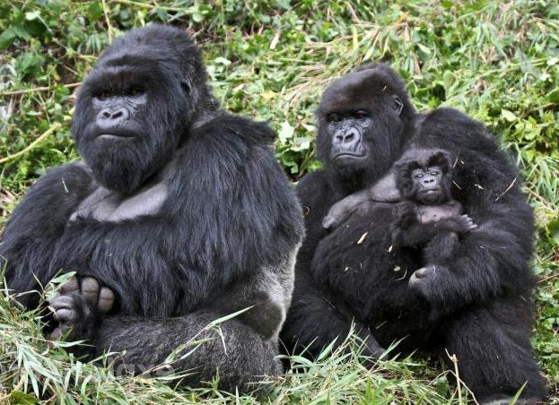 &amp;ETH;&amp;ETH;&amp;micro;&amp;Ntilde; &amp;ETH;&amp;sup3;&amp;ETH;&amp;frac34;&amp;Ntilde;&amp;ETH;&amp;cedil;&amp;ETH;&amp;raquo;&amp;ETH;&amp;raquo;&amp;Ntilde;