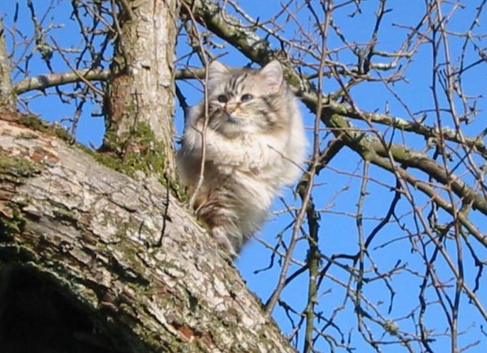 &amp;ETH;&amp;frac12;&amp;ETH;&amp;micro;&amp;ETH;&amp;sup2;&amp;Ntilde;&amp;ETH;&amp;ordm;&amp;ETH;&amp;deg;&amp;Ntilde; &amp;ETH;&amp;frac14;&amp;ETH;&amp;deg;&amp;Ntilde;&amp;ETH;&amp;ordm;&amp;ETH;&amp;deg;&amp;Ntilde;&amp;ETH;&amp;deg;&amp;ETH;&amp;acute;&amp;ETH;&amp;frac12;&amp;ETH;&amp;deg;&amp;Ntilde; &amp;ETH;&amp;ordm;&amp;ETH;&amp;frac34;&amp;Ntilde;&amp;ETH;&amp;ordm;&amp;ETH;&amp;deg; &amp;Ntilde;&amp;ETH;&amp;deg;&amp;Ntilde;&amp;ETH;&amp;deg;&amp;ETH;&amp;ordm;&amp;Ntilde;&amp;ETH;&amp;micro;&amp;Ntilde; &amp;ETH;&amp;cedil; &amp;ETH;&amp;frac34;&amp;ETH;&amp;iquest;&amp;ETH;&amp;cedil;&amp;Ntilde;&amp;ETH;&amp;deg;&amp;ETH;&amp;frac12;&amp;ETH;&amp;cedil;&amp;ETH;&amp;micro;
