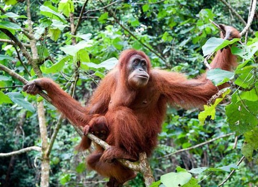 &amp;ETH;&amp;frac34;&amp;Ntilde;&amp;ETH;&amp;deg;&amp;ETH;&amp;frac12;&amp;ETH;&amp;sup3;&amp;Ntilde;&amp;Ntilde;&amp;ETH;&amp;deg;&amp;ETH;&amp;frac12; &amp;Ntilde;&amp;Ntilde;&amp;ETH;&amp;frac14;&amp;ETH;&amp;deg;&amp;Ntilde;&amp;Ntilde;&amp;ETH;&amp;deg;&amp;ETH;&amp;frac12;&amp;Ntilde;&amp;ETH;&amp;ordm;&amp;ETH;&amp;cedil;&amp;ETH;&amp;sup1; &amp;Ntilde;&amp;ETH;&amp;frac34;&amp;Ntilde;&amp;ETH;&amp;frac34;