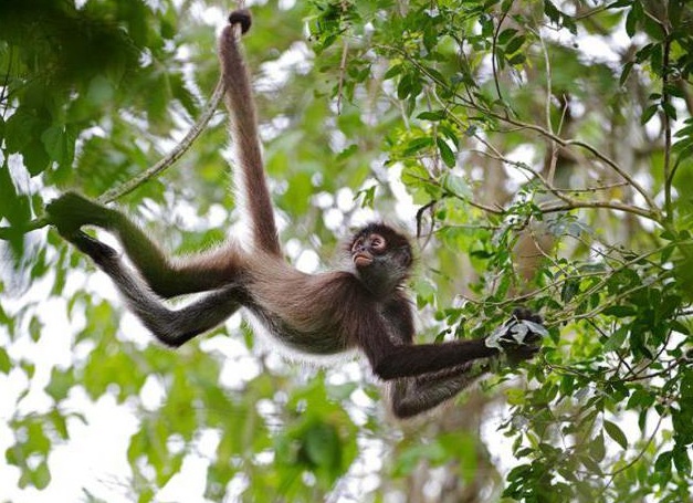 &amp;Ntilde;&amp;ETH;&amp;cedil;&amp;Ntilde;&amp;Ntilde;&amp;ETH;&amp;micro;&amp;ETH;&amp;frac14;&amp;ETH;&amp;deg;&amp;Ntilde;&amp;ETH;&amp;cedil;&amp;ETH;&amp;ordm;&amp;ETH;&amp;deg; &amp;ETH;&amp;iquest;&amp;Ntilde;&amp;ETH;&amp;cedil;&amp;ETH;&amp;frac14;&amp;ETH;&amp;deg;&amp;Ntilde;&amp;ETH;&amp;frac34;&amp;ETH;&amp;sup2;