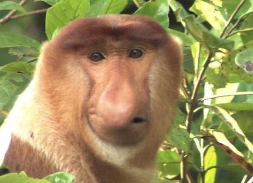 &amp;Ntilde;&amp;ETH;&amp;ordm;&amp;ETH;&amp;frac34;&amp;ETH;&amp;raquo;&amp;Ntilde;&amp;ETH;&amp;ordm;&amp;ETH;&amp;frac34; &amp;ETH;&amp;raquo;&amp;ETH;&amp;micro;&amp;Ntilde; &amp;ETH;&amp;para;&amp;ETH;&amp;cedil;&amp;ETH;&amp;sup2;&amp;Ntilde;&amp;Ntilde; &amp;ETH;&amp;frac34;&amp;ETH;&amp;plusmn;&amp;ETH;&amp;micro;&amp;ETH;&amp;middot;&amp;Ntilde;&amp;Ntilde;&amp;ETH;&amp;frac12;&amp;Ntilde; &amp;ETH;&amp;frac12;&amp;ETH;&amp;frac34;&amp;Ntilde;&amp;ETH;&amp;deg;&amp;Ntilde;&amp;ETH;&amp;cedil;