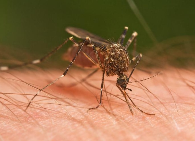 &amp;ETH;&amp;para;&amp;ETH;&amp;cedil;&amp;ETH;&amp;sup2;&amp;ETH;&amp;frac34;&amp;Ntilde;&amp;ETH;&amp;frac12;&amp;Ntilde;&amp;ETH;&amp;micro; &amp;ETH;&amp;iquest;&amp;ETH;&amp;deg;&amp;Ntilde;&amp;ETH;&amp;deg;&amp;ETH;&amp;middot;&amp;ETH;&amp;cedil;&amp;Ntilde;&amp;Ntilde; &amp;ETH;&amp;iquest;&amp;Ntilde;&amp;ETH;&amp;cedil;&amp;ETH;&amp;frac14;&amp;ETH;&amp;micro;&amp;Ntilde;&amp;Ntilde;