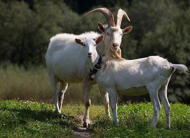 &amp;amp;amp;Ntilde;&amp;amp;amp;ETH;&amp;amp;amp;raquo;&amp;amp;amp;Ntilde;&amp;amp;amp;Ntilde;&amp;amp;amp;ETH;&amp;amp;amp;ordm;&amp;amp;amp;ETH;&amp;amp;amp;deg; &amp;amp;amp;ETH;&amp;amp;amp;ordm;&amp;amp;amp;ETH;&amp;amp;amp;frac34;&amp;amp;amp;ETH;&amp;amp;amp;middot;&amp;amp;amp;Ntilde; &amp;amp;amp;Ntilde; &amp;amp;amp;ETH;&amp;amp;amp;ordm;&amp;amp;amp;ETH;&amp;amp;amp;frac34;&amp;amp;amp;ETH;&amp;amp;amp;middot;&amp;amp;amp;ETH;&amp;amp;amp;raquo;&amp;amp;amp;ETH;&amp;amp;amp;frac34;&amp;amp;amp;ETH;&amp;amp;amp;frac14;