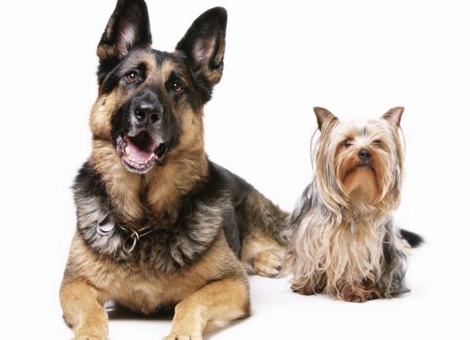 &amp;Ntilde;&amp;ETH;&amp;deg;&amp;ETH;&amp;frac14;&amp;ETH;&amp;deg;&amp;Ntilde; &amp;Ntilde;&amp;ETH;&amp;frac14;&amp;ETH;&amp;frac12;&amp;ETH;&amp;deg;&amp;Ntilde; &amp;Ntilde;&amp;ETH;&amp;frac34;&amp;ETH;&amp;plusmn;&amp;ETH;&amp;deg;&amp;ETH;&amp;ordm;&amp;ETH;&amp;deg; &amp;ETH;&amp;sup2; &amp;ETH;&amp;frac14;&amp;ETH;&amp;cedil;&amp;Ntilde;&amp;ETH;&amp;micro;