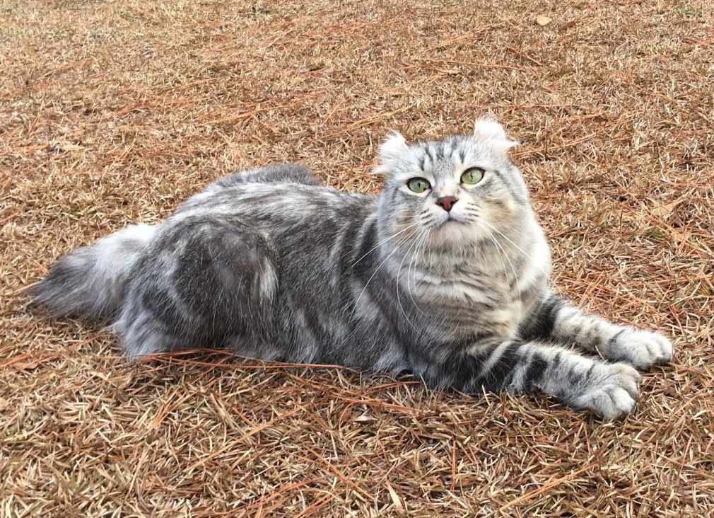 &amp;ETH;&amp;ordm;&amp;ETH;&amp;frac34;&amp;Ntilde;&amp;ETH;&amp;ordm;&amp;ETH;&amp;deg; &amp;ETH;&amp;plusmn;&amp;Ntilde;&amp;ETH;&amp;cedil;&amp;Ntilde;&amp;ETH;&amp;deg;&amp;ETH;&amp;frac12;&amp;Ntilde;&amp;ETH;&amp;ordm;&amp;ETH;&amp;deg;&amp;Ntilde; &amp;Ntilde;&amp;ETH;&amp;deg;&amp;ETH;&amp;sup1;&amp;ETH;&amp;raquo;&amp;ETH;&amp;micro;&amp;ETH;&amp;frac12;&amp;ETH;&amp;acute;&amp;ETH;&amp;micro;&amp;Ntilde;