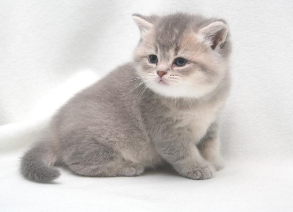 &amp;ETH;&amp;ETH;&amp;ordm;&amp;Ntilde;&amp;ETH;&amp;deg;&amp;Ntilde; &amp;Ntilde;&amp;ETH;&amp;micro;&amp;Ntilde;&amp;ETH;&amp;micro;&amp;ETH;&amp;iquest;&amp;ETH;&amp;deg;&amp;Ntilde;&amp;ETH;&amp;frac34;&amp;ETH;&amp;sup2;&amp;Ntilde;&amp;ETH;&amp;sup1;