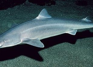 &amp;amp;amp;ETH;&amp;amp;amp;frac34;&amp;amp;amp;ETH;&amp;amp;amp;iquest;&amp;amp;amp;ETH;&amp;amp;amp;deg;&amp;amp;amp;Ntilde;&amp;amp;amp;ETH;&amp;amp;amp;frac12;&amp;amp;amp;ETH;&amp;amp;amp;deg;&amp;amp;amp;Ntilde; &amp;amp;amp;ETH;&amp;amp;amp;deg;&amp;amp;amp;ETH;&amp;amp;amp;ordm;&amp;amp;amp;Ntilde;&amp;amp;amp;ETH;&amp;amp;amp;raquo;&amp;amp;amp;ETH;&amp;amp;amp;deg;