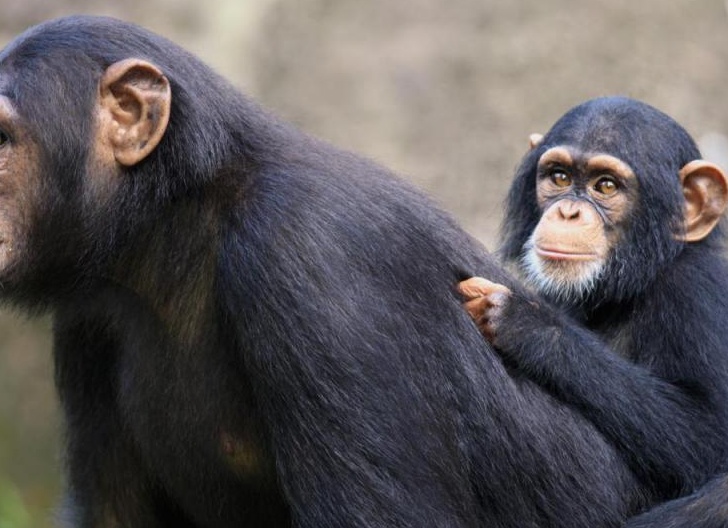 &amp;ETH;&amp;uml;&amp;ETH;&amp;cedil;&amp;ETH;&amp;frac14;&amp;ETH;&amp;iquest;&amp;ETH;&amp;deg;&amp;ETH;&amp;frac12;&amp;ETH;&amp;middot;&amp;ETH;&amp;micro; &amp;ETH;&amp;frac34;&amp;ETH;&amp;plusmn;&amp;Ntilde;&amp;ETH;&amp;ordm;&amp;ETH;&amp;frac12;&amp;ETH;&amp;frac34;&amp;ETH;&amp;sup2;&amp;ETH;&amp;micro;&amp;ETH;&amp;frac12;&amp;ETH;&amp;frac12;&amp;Ntilde;&amp;ETH;&amp;sup1;