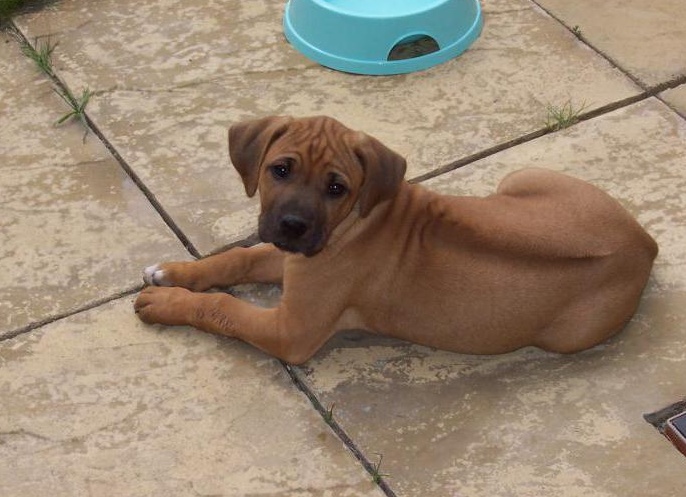 &amp;Ntilde;&amp;ETH;&amp;frac34;&amp;ETH;&amp;iquest; 10 &amp;Ntilde;&amp;ETH;&amp;deg;&amp;ETH;&amp;frac14;&amp;Ntilde;&amp;Ntilde; &amp;Ntilde;&amp;ETH;&amp;cedil;&amp;ETH;&amp;raquo;&amp;Ntilde;&amp;ETH;&amp;frac12;&amp;Ntilde;&amp;Ntilde; &amp;Ntilde;&amp;ETH;&amp;frac34;&amp;ETH;&amp;plusmn;&amp;ETH;&amp;deg;&amp;ETH;&amp;ordm; &amp;ETH;&amp;sup2; &amp;ETH;&amp;frac14;&amp;ETH;&amp;cedil;&amp;Ntilde;&amp;ETH;&amp;micro; &amp;Ntilde;&amp;ETH;&amp;frac34;&amp;ETH;&amp;acute;&amp;ETH;&amp;micro;&amp;ETH;&amp;middot;&amp;ETH;&amp;cedil;&amp;ETH;&amp;sup1;&amp;Ntilde;&amp;ETH;&amp;ordm;&amp;ETH;&amp;cedil;&amp;ETH;&amp;sup1; &amp;Ntilde;&amp;ETH;&amp;cedil;&amp;ETH;&amp;acute;&amp;ETH;&amp;para;&amp;ETH;&amp;plusmn;&amp;ETH;&amp;micro;&amp;ETH;&amp;ordm;