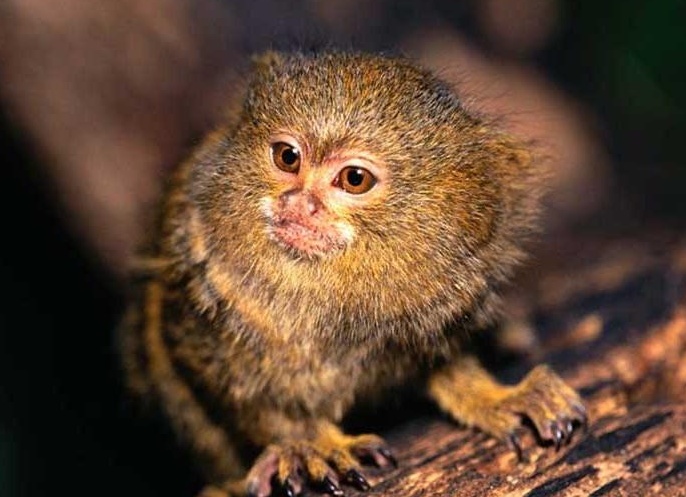 &amp;ETH;&amp;ordm;&amp;ETH;&amp;deg;&amp;Ntilde;&amp;ETH;&amp;raquo;&amp;ETH;&amp;cedil;&amp;ETH;&amp;ordm;&amp;ETH;&amp;frac34;&amp;ETH;&amp;sup2;&amp;Ntilde;&amp;ETH;&amp;micro; &amp;ETH;&amp;cedil;&amp;ETH;&amp;sup3;&amp;Ntilde;&amp;Ntilde;&amp;ETH;&amp;frac12;&amp;ETH;&amp;ordm;&amp;ETH;&amp;cedil;