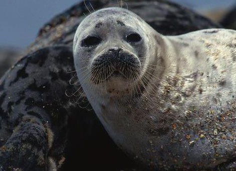 &amp;ETH;&amp;frac14;&amp;ETH;&amp;micro;&amp;ETH;&amp;para;&amp;ETH;&amp;acute;&amp;Ntilde;&amp;ETH;&amp;frac12;&amp;ETH;&amp;deg;&amp;Ntilde;&amp;ETH;&amp;frac34;&amp;ETH;&amp;acute;&amp;ETH;&amp;frac12;&amp;ETH;&amp;deg;&amp;Ntilde; &amp;ETH;&amp;ordm;&amp;Ntilde;&amp;ETH;&amp;deg;&amp;Ntilde;&amp;ETH;&amp;frac12;&amp;ETH;&amp;deg;&amp;Ntilde; &amp;ETH;&amp;ordm;&amp;ETH;&amp;frac12;&amp;ETH;&amp;cedil;&amp;ETH;&amp;sup3;&amp;ETH;&amp;deg; &amp;Ntilde;&amp;ETH;&amp;frac34;&amp;Ntilde;&amp;ETH;&amp;frac34; &amp;ETH;&amp;para;&amp;ETH;&amp;cedil;&amp;ETH;&amp;sup2;&amp;ETH;&amp;frac34;&amp;Ntilde;&amp;ETH;&amp;frac12;&amp;Ntilde;&amp;Ntilde;