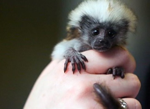 &amp;ETH;&amp;para;&amp;ETH;&amp;cedil;&amp;ETH;&amp;sup2;&amp;ETH;&amp;frac34;&amp;Ntilde;&amp;ETH;&amp;frac12;&amp;Ntilde;&amp;ETH;&amp;micro; &amp;ETH;&amp;frac34;&amp;ETH;&amp;plusmn;&amp;ETH;&amp;micro;&amp;ETH;&amp;middot;&amp;Ntilde;&amp;Ntilde;&amp;ETH;&amp;frac12;&amp;Ntilde;