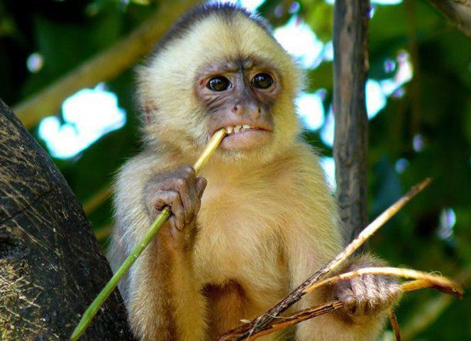 &amp;ETH;&amp;frac34;&amp;ETH;&amp;plusmn;&amp;ETH;&amp;micro;&amp;ETH;&amp;middot;&amp;Ntilde;&amp;Ntilde;&amp;ETH;&amp;frac12;&amp;Ntilde; &amp;ETH;&amp;ordm;&amp;ETH;&amp;deg;&amp;ETH;&amp;iquest;&amp;Ntilde;&amp;Ntilde;&amp;ETH;&amp;cedil;&amp;ETH;&amp;frac12;&amp;Ntilde;