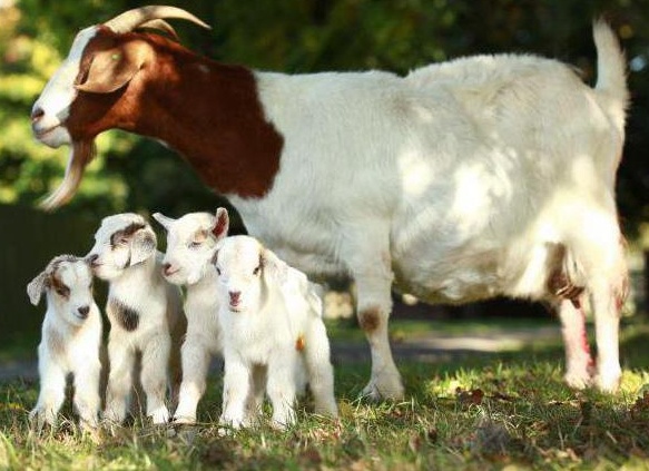 &amp;amp;amp;ETH;&amp;amp;amp;iquest;&amp;amp;amp;ETH;&amp;amp;amp;micro;&amp;amp;amp;Ntilde;&amp;amp;amp;ETH;&amp;amp;amp;sup2;&amp;amp;amp;ETH;&amp;amp;amp;deg;&amp;amp;amp;Ntilde; &amp;amp;amp;Ntilde;&amp;amp;amp;ETH;&amp;amp;amp;raquo;&amp;amp;amp;Ntilde;&amp;amp;amp;Ntilde;&amp;amp;amp;ETH;&amp;amp;amp;ordm;&amp;amp;amp;ETH;&amp;amp;amp;deg; &amp;amp;amp;ETH;&amp;amp;amp;ordm;&amp;amp;amp;ETH;&amp;amp;amp;frac34;&amp;amp;amp;ETH;&amp;amp;amp;middot;