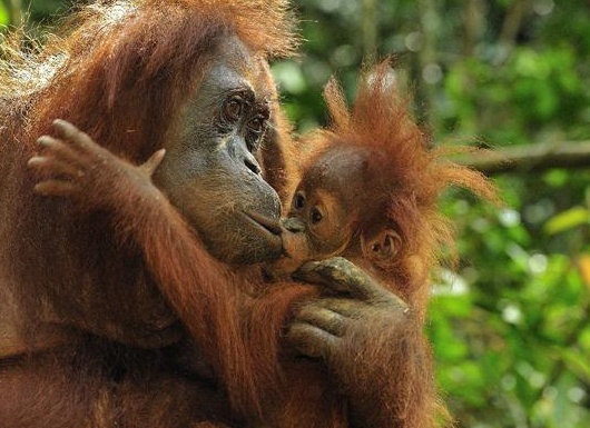 &amp;Ntilde;&amp;Ntilde;&amp;ETH;&amp;frac14;&amp;ETH;&amp;deg;&amp;Ntilde;&amp;Ntilde;&amp;ETH;&amp;deg;&amp;ETH;&amp;frac12;&amp;Ntilde;&amp;ETH;&amp;ordm;&amp;ETH;&amp;cedil;&amp;ETH;&amp;sup1; &amp;ETH;&amp;frac34;&amp;Ntilde;&amp;ETH;&amp;deg;&amp;ETH;&amp;frac12;&amp;ETH;&amp;sup3;&amp;Ntilde;&amp;Ntilde;&amp;ETH;&amp;deg;&amp;ETH;&amp;frac12; &amp;Ntilde;&amp;ETH;&amp;cedil;&amp;Ntilde;&amp;ETH;&amp;raquo;&amp;ETH;&amp;micro;&amp;ETH;&amp;frac12;&amp;ETH;&amp;frac12;&amp;ETH;&amp;frac34;&amp;Ntilde;&amp;Ntilde;&amp;Ntilde;