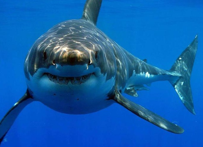 &amp;amp;amp;ETH;&amp;amp;amp;ordm;&amp;amp;amp;ETH;&amp;amp;amp;deg;&amp;amp;amp;Ntilde;&amp;amp;amp;Ntilde;&amp;amp;amp;ETH;&amp;amp;amp;deg;&amp;amp;amp;ETH;&amp;amp;amp;frac12; &amp;amp;amp;Ntilde;&amp;amp;amp;ETH;&amp;amp;amp;frac34;&amp;amp;amp;Ntilde;&amp;amp;amp;ETH;&amp;amp;amp;frac34;