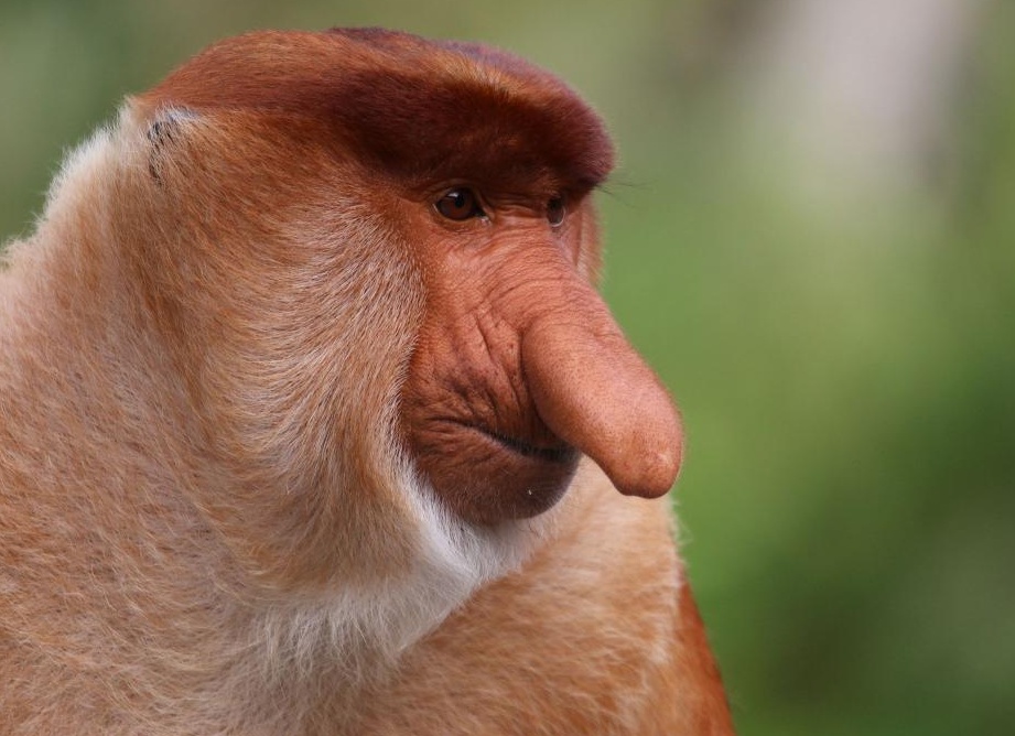 &amp;ETH;&amp;ETH;&amp;cedil;&amp;ETH;&amp;acute; - &amp;ETH;&amp;ETH;&amp;frac34;&amp;Ntilde;&amp;ETH;&amp;deg;&amp;Ntilde;