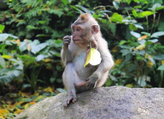 &amp;ETH;&amp;sup3;&amp;Ntilde;&amp;ETH;&amp;plusmn;&amp;Ntilde; &amp;ETH;&amp;frac34;&amp;ETH;&amp;plusmn;&amp;ETH;&amp;micro;&amp;ETH;&amp;middot;&amp;Ntilde;&amp;Ntilde;&amp;ETH;&amp;frac12;&amp;Ntilde;