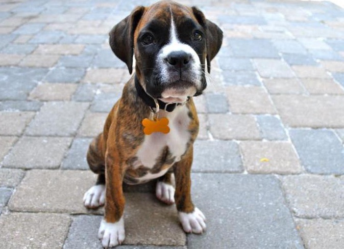 &amp;Ntilde;&amp;ETH;&amp;frac34;&amp;ETH;&amp;iquest; 10 &amp;Ntilde;&amp;ETH;&amp;deg;&amp;ETH;&amp;frac14;&amp;Ntilde;&amp;Ntilde; &amp;Ntilde;&amp;ETH;&amp;cedil;&amp;ETH;&amp;raquo;&amp;Ntilde;&amp;ETH;&amp;frac12;&amp;Ntilde;&amp;Ntilde; &amp;Ntilde;&amp;ETH;&amp;frac34;&amp;ETH;&amp;plusmn;&amp;ETH;&amp;deg;&amp;ETH;&amp;ordm; &amp;ETH;&amp;sup2; &amp;ETH;&amp;frac14;&amp;ETH;&amp;cedil;&amp;Ntilde;&amp;ETH;&amp;micro; &amp;ETH;&amp;deg;&amp;ETH;&amp;frac14;&amp;ETH;&amp;micro;&amp;Ntilde;&amp;ETH;&amp;cedil;&amp;ETH;&amp;ordm;&amp;ETH;&amp;deg;&amp;ETH;&amp;frac12;&amp;Ntilde;&amp;ETH;&amp;ordm;&amp;ETH;&amp;cedil;&amp;ETH;&amp;sup1; &amp;ETH;&amp;plusmn;&amp;Ntilde;&amp;ETH;&amp;raquo;&amp;Ntilde;&amp;ETH;&amp;acute;&amp;ETH;&amp;frac34;&amp;ETH;&amp;sup3;