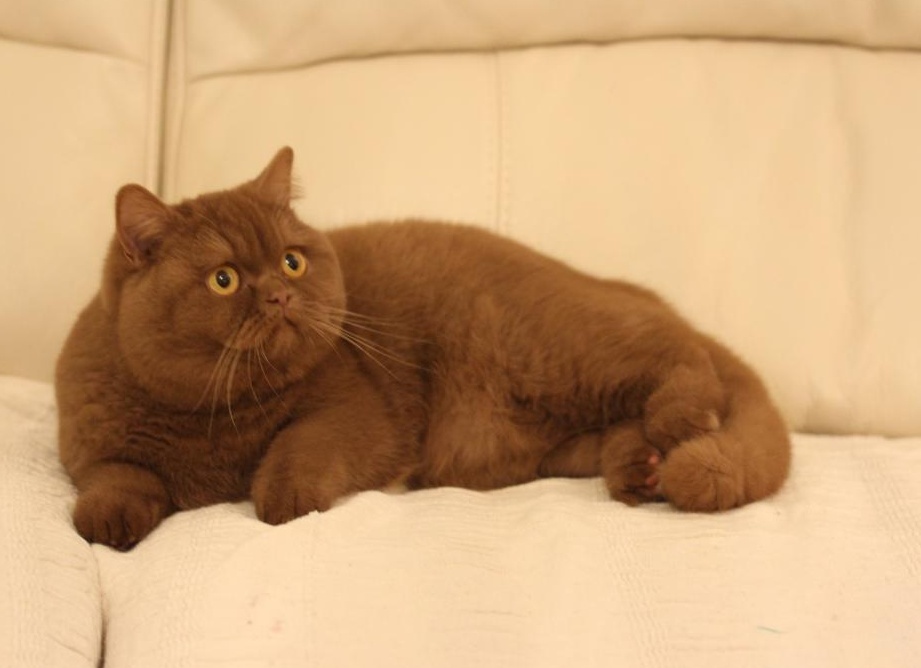 &amp;ETH;&amp;ETH;&amp;acute;&amp;ETH;&amp;frac12;&amp;ETH;&amp;frac34;&amp;Ntilde;&amp;ETH;&amp;frac34;&amp;ETH;&amp;frac12;&amp;ETH;&amp;frac12;&amp;Ntilde;&amp;ETH;&amp;sup1; &amp;Ntilde;&amp;ETH;&amp;frac34;&amp;ETH;&amp;ordm;&amp;ETH;&amp;frac34;&amp;ETH;&amp;raquo;&amp;ETH;&amp;deg;&amp;ETH;&amp;acute;