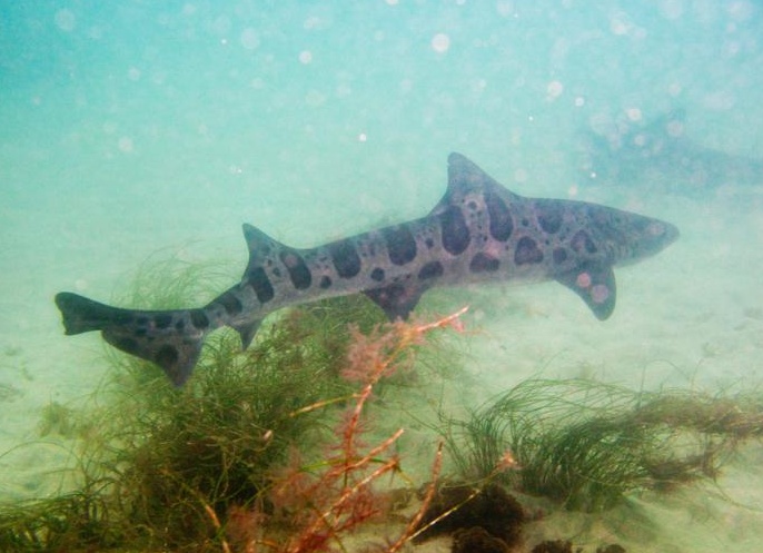 &amp;amp;amp;ETH;&amp;amp;amp;frac14;&amp;amp;amp;ETH;&amp;amp;amp;deg;&amp;amp;amp;ETH;&amp;amp;amp;raquo;&amp;amp;amp;ETH;&amp;amp;amp;micro;&amp;amp;amp;ETH;&amp;amp;amp;frac12;&amp;amp;amp;Ntilde;&amp;amp;amp;ETH;&amp;amp;amp;ordm;&amp;amp;amp;ETH;&amp;amp;amp;deg;&amp;amp;amp;Ntilde; &amp;amp;amp;ETH;&amp;amp;amp;deg;&amp;amp;amp;ETH;&amp;amp;amp;ordm;&amp;amp;amp;Ntilde;&amp;amp;amp;ETH;&amp;amp;amp;raquo;&amp;amp;amp;ETH;&amp;amp;amp;deg;