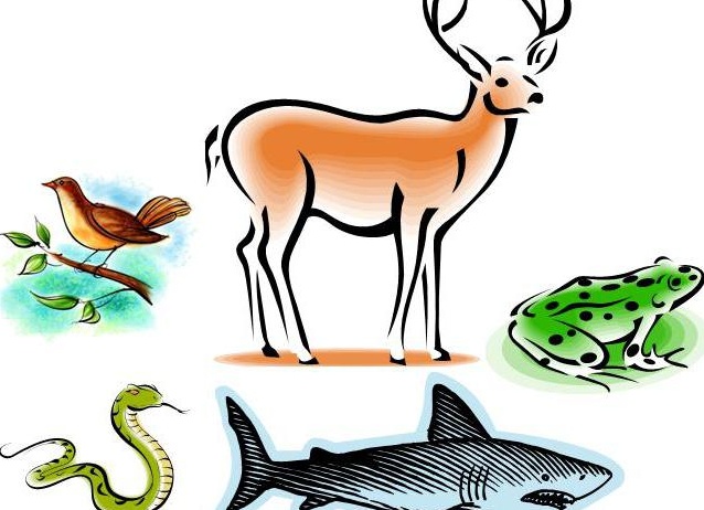 &amp;ETH;&amp;ordm;&amp;ETH;&amp;deg;&amp;ETH;&amp;ordm;&amp;ETH;&amp;cedil;&amp;ETH;&amp;micro; &amp;ETH;&amp;plusmn;&amp;Ntilde;&amp;ETH;&amp;sup2;&amp;ETH;&amp;deg;&amp;Ntilde;&amp;Ntilde; &amp;ETH;&amp;ordm;&amp;ETH;&amp;raquo;&amp;ETH;&amp;deg;&amp;Ntilde;&amp;Ntilde;&amp;Ntilde; &amp;ETH;&amp;para;&amp;ETH;&amp;cedil;&amp;ETH;&amp;sup2;&amp;ETH;&amp;frac34;&amp;Ntilde;&amp;ETH;&amp;frac12;&amp;Ntilde;&amp;Ntilde;