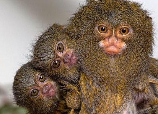 &amp;ETH;&amp;frac14;&amp;ETH;&amp;deg;&amp;ETH;&amp;raquo;&amp;ETH;&amp;micro;&amp;ETH;&amp;frac12;&amp;Ntilde;&amp;ETH;&amp;ordm;&amp;ETH;&amp;cedil;&amp;ETH;&amp;micro; &amp;ETH;&amp;frac34;&amp;ETH;&amp;plusmn;&amp;ETH;&amp;micro;&amp;ETH;&amp;middot;&amp;Ntilde;&amp;Ntilde;&amp;ETH;&amp;frac12;&amp;ETH;&amp;ordm;&amp;ETH;&amp;cedil; &amp;Ntilde; &amp;ETH;&amp;plusmn;&amp;ETH;&amp;frac34;&amp;ETH;&amp;raquo;&amp;Ntilde;&amp;Ntilde;&amp;ETH;&amp;cedil;&amp;ETH;&amp;frac14;&amp;ETH;&amp;cedil; &amp;ETH;&amp;sup3;&amp;ETH;&amp;raquo;&amp;ETH;&amp;deg;&amp;ETH;&amp;middot;&amp;ETH;&amp;deg;&amp;ETH;&amp;frac14;&amp;ETH;&amp;cedil;